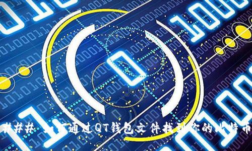 ### 如何通过QT钱包文件找到你的比特币